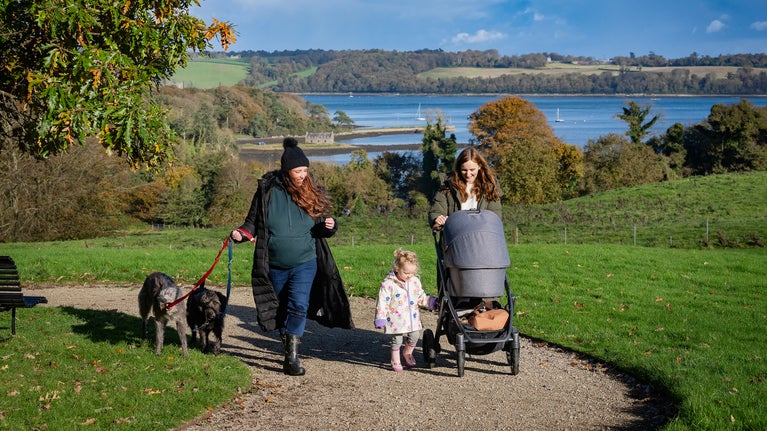 Family walking with a pushchair and dogs with the shore behind and blue skies above